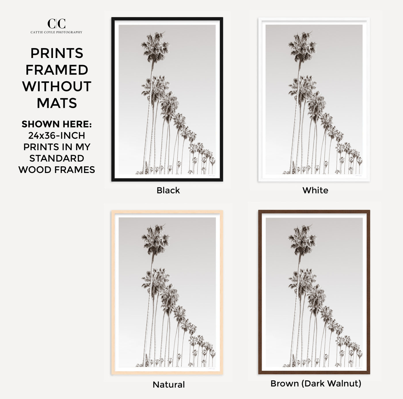 Palm Trees – Framed black and white fine art prints by Cattie Coyle Photography