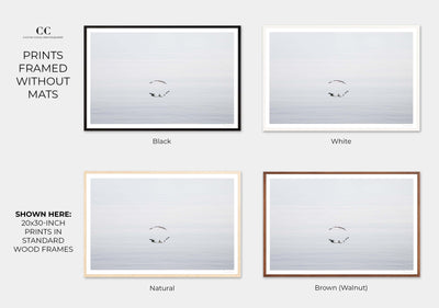 Early Morning Flight - Framed flying seagull wall decor by Cattie Coyle Photography
