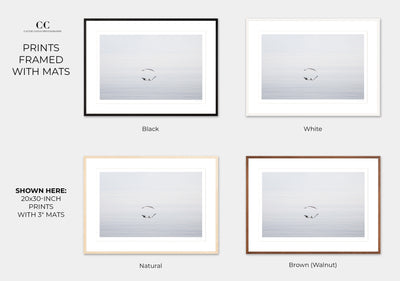 Early Morning Flight - Framed flying seagull wall decor by Cattie Coyle Photography