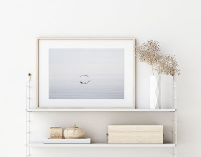 Calm water and flying seagull art print by Cattie Coyle Photography