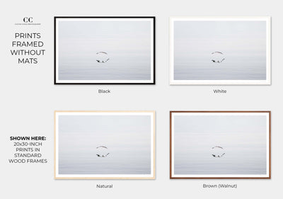 Early Morning Flight - Framed fine art prints by Cattie Coyle Photography