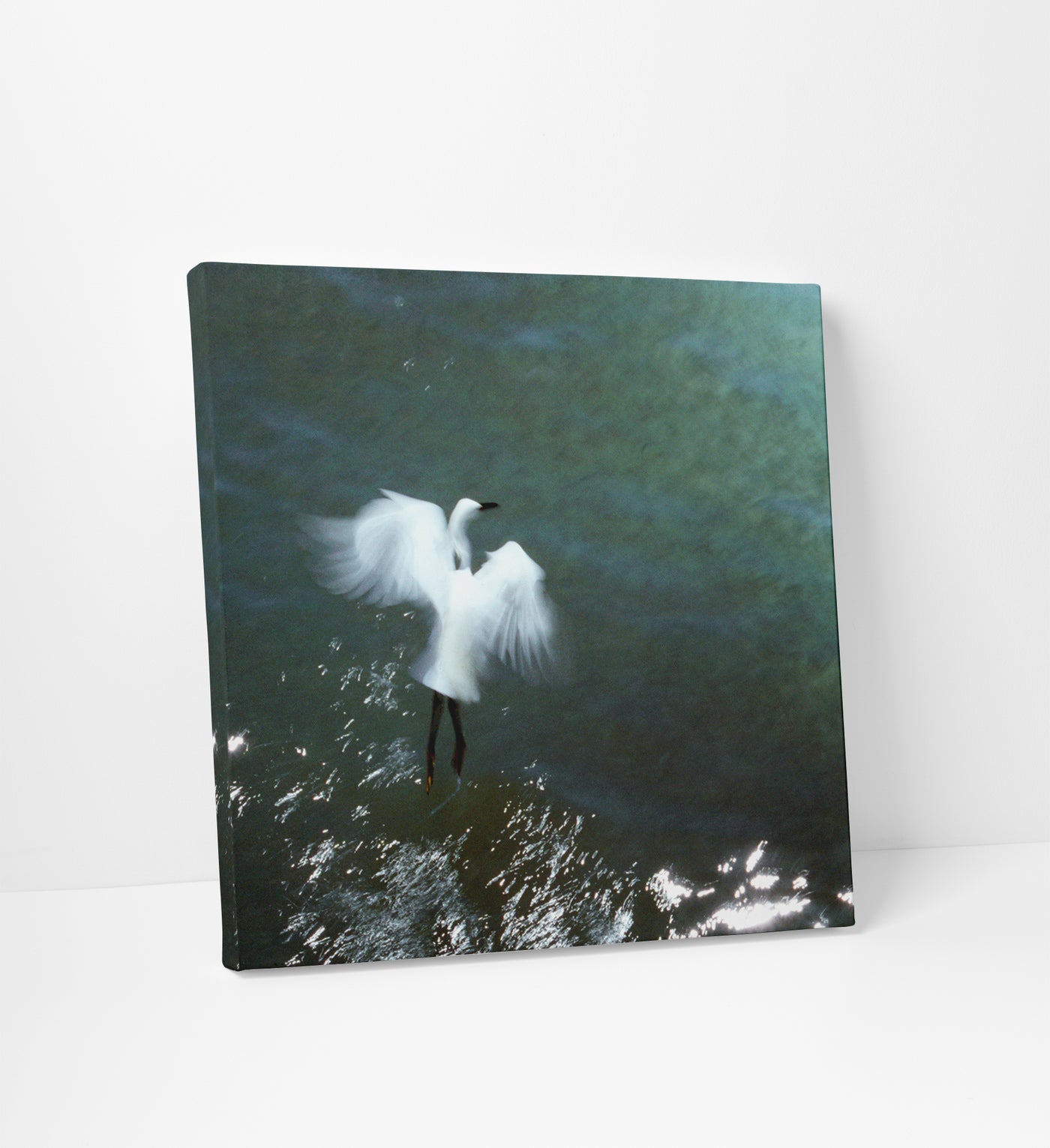 Fishing - Large bird photography art canvas by Cattie Coyle