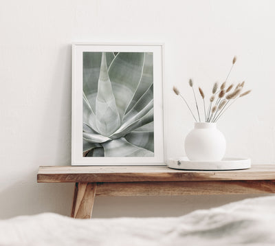 Fox Tail Agave - Succulent art print by Cattie Coyle Photography