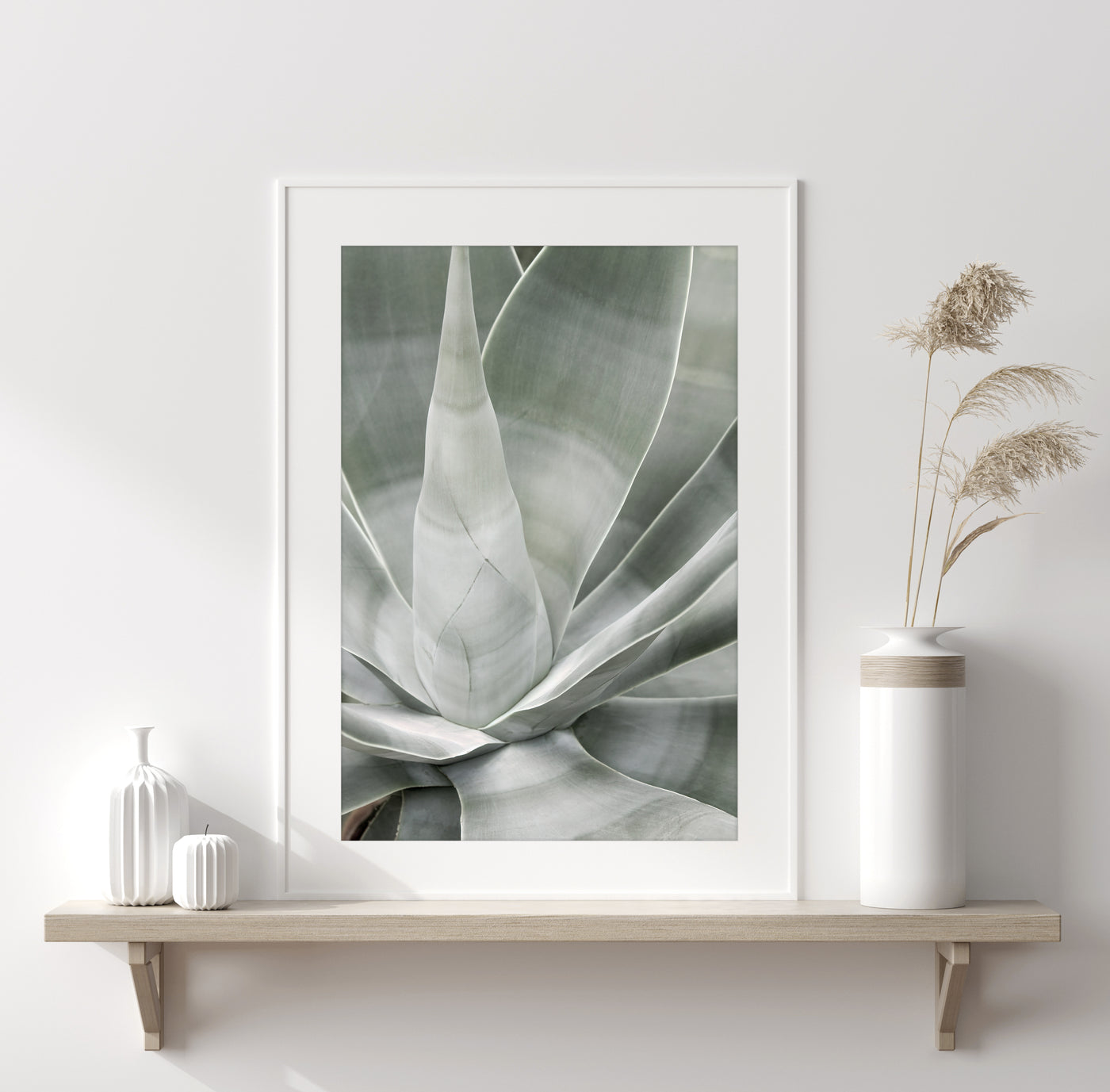 Fox Tail Agave - Succulent art print by Cattie Coyle Photography