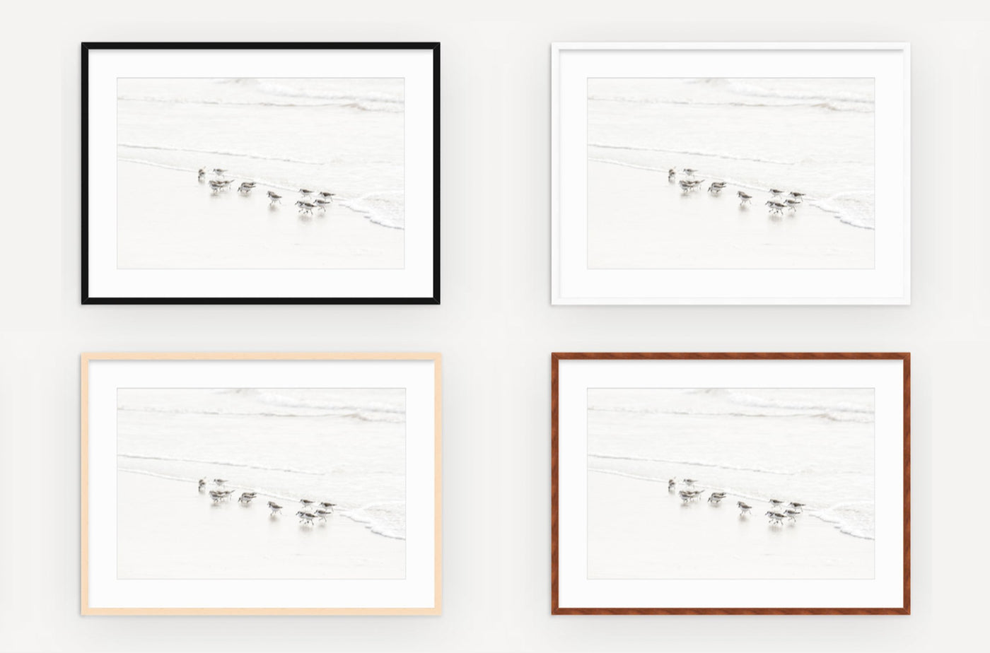 Framed sandpipers wall art by Cattie Coyle Photography