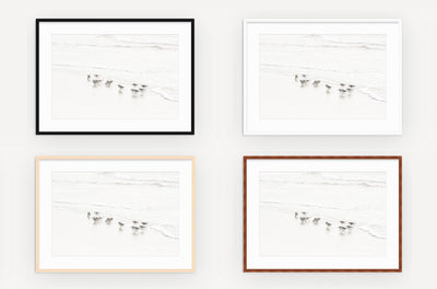Framed sandpipers wall art by Cattie Coyle Photography