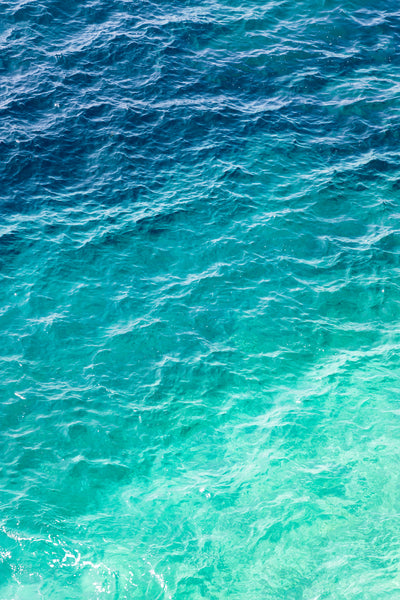 Large teal wall art by Cattie Coyle Photography