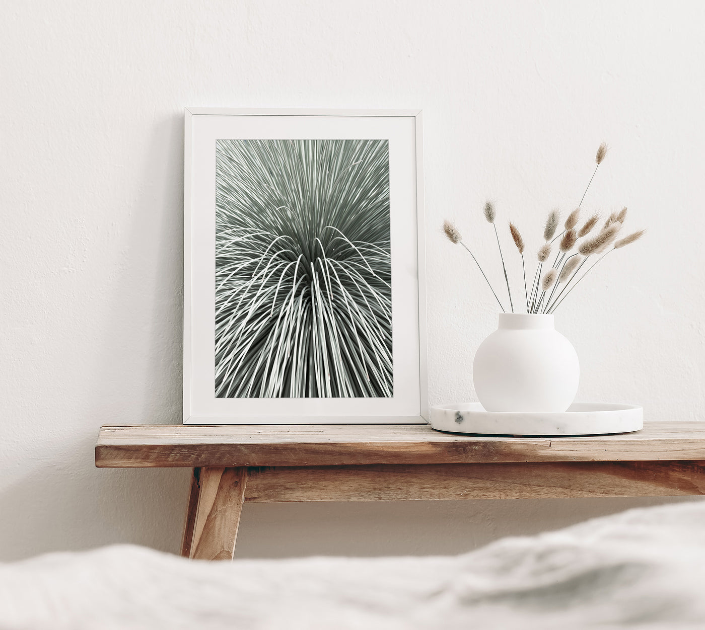 Succulent print by Cattie Coyle Photography in living room