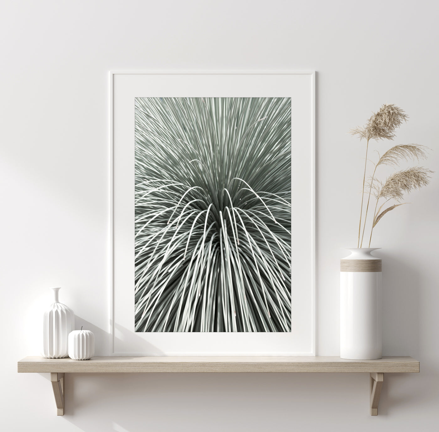 Succulent print by Cattie Coyle Photography