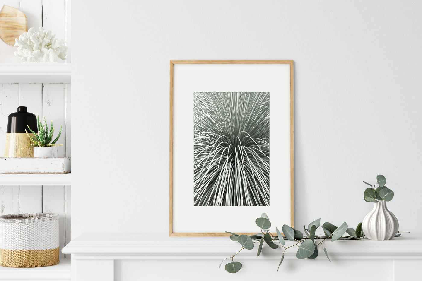Succulent print by Cattie Coyle Photography