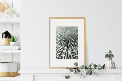 Succulent print by Cattie Coyle Photography