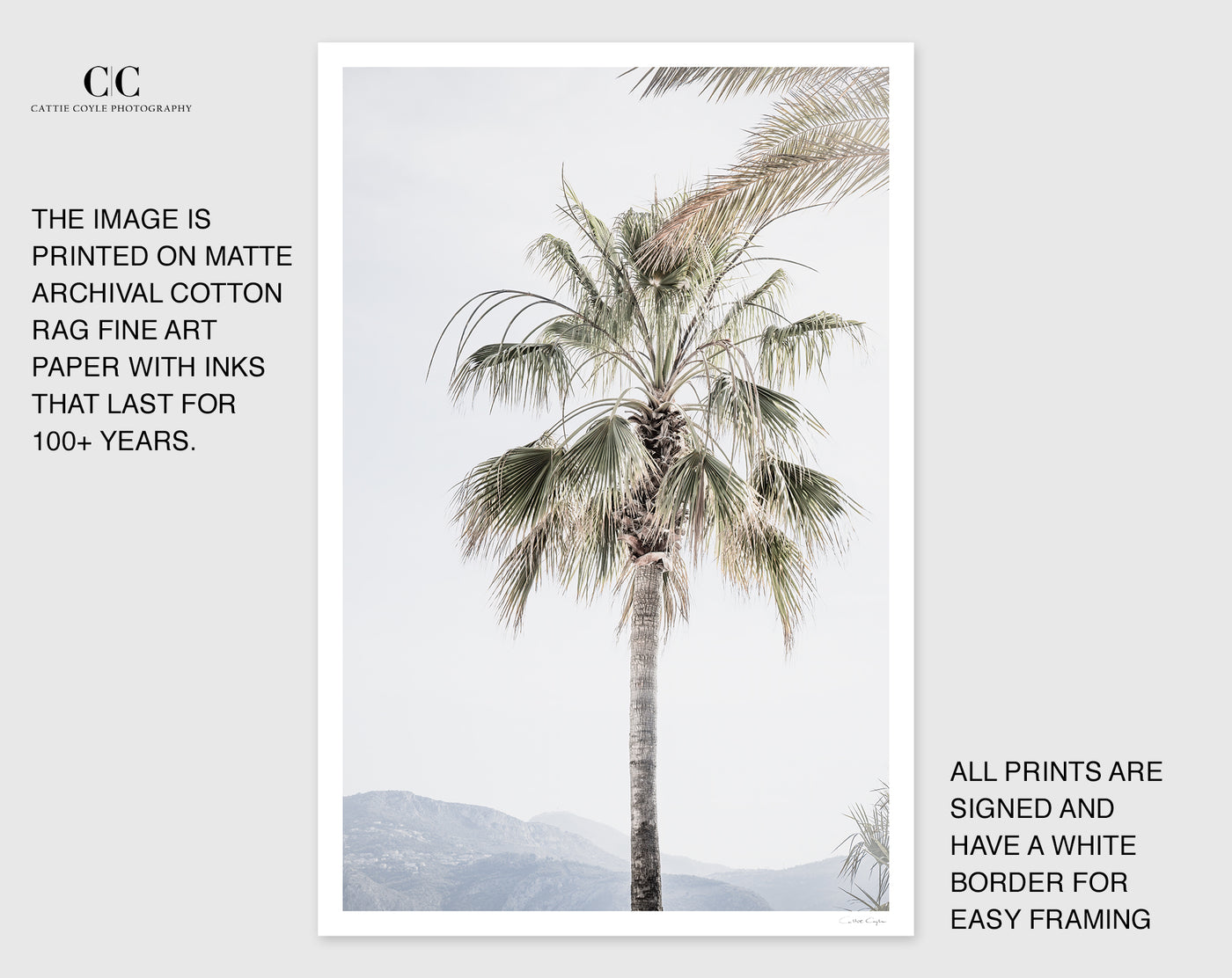 Palm tree print by Cattie Coyle Photography with borders