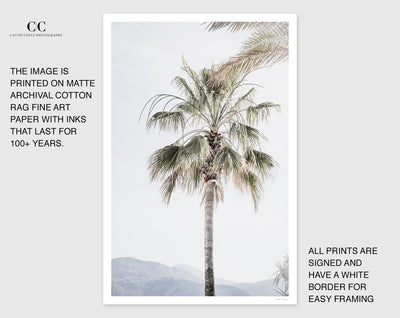 Palm tree print by Cattie Coyle Photography with borders