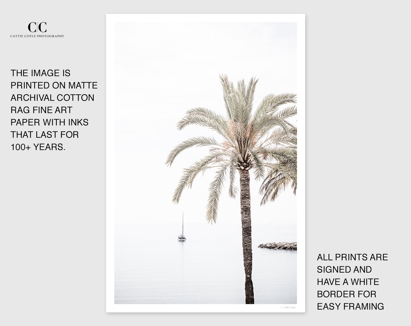 Palm Tree wall art prints by Cattie Coyle Photography