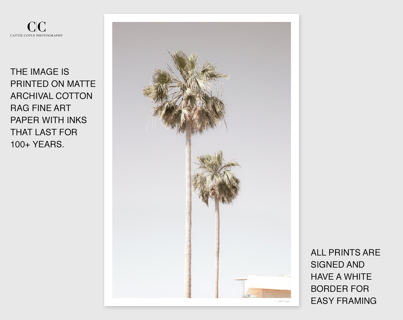 Palm trees wall art by Cattie Coyle Photography with borders