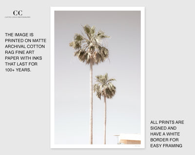Palm trees wall art by Cattie Coyle Photography with borders