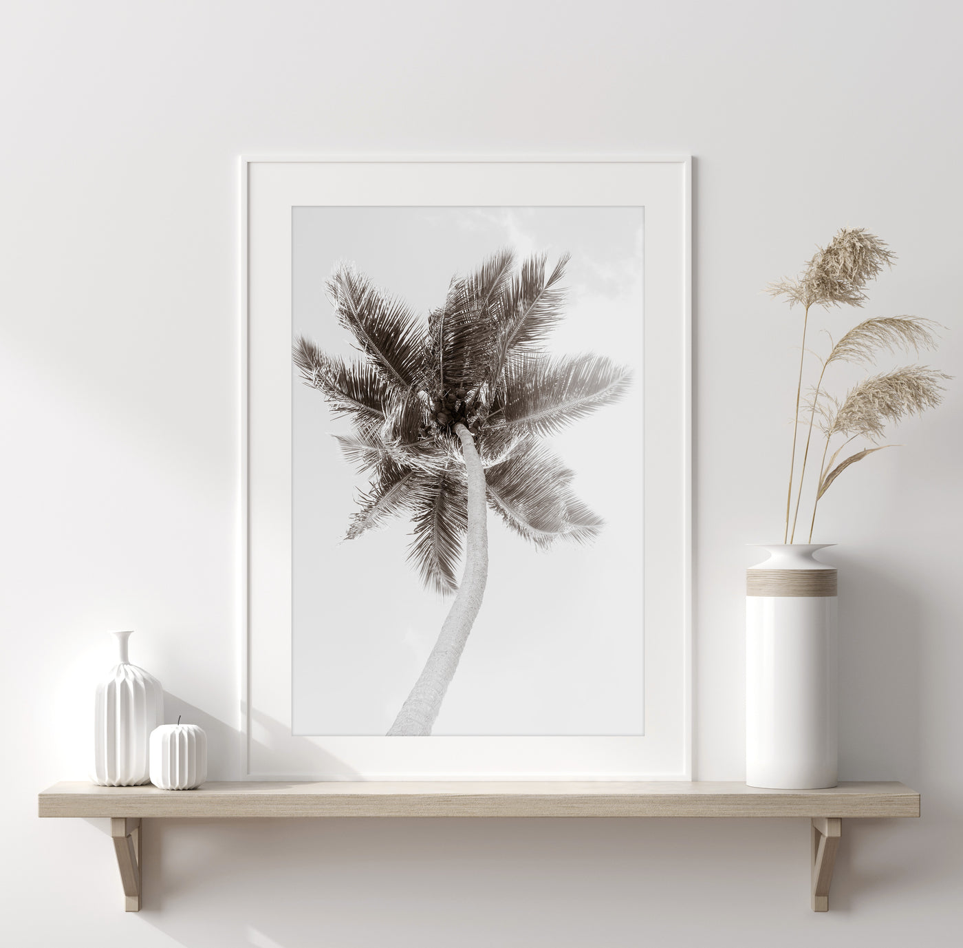 Palm Tree – Black and white fine art print by Cattie Coyle Photography