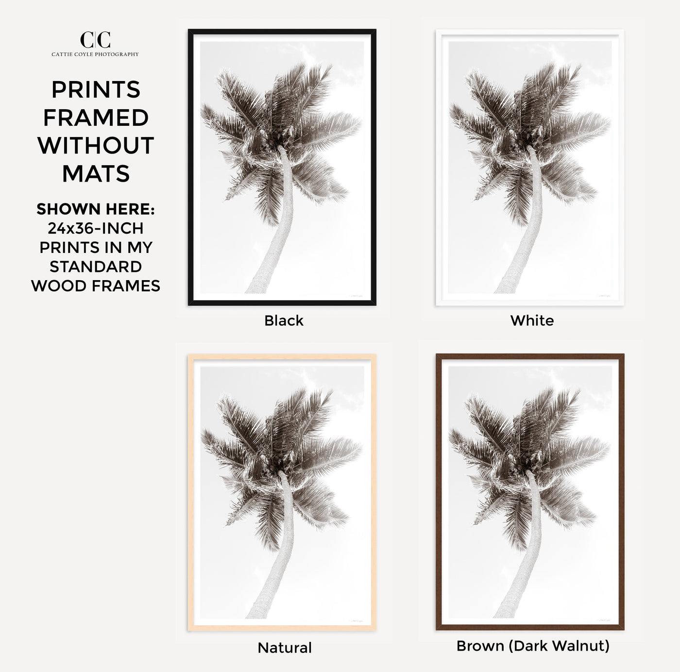 Palm Tree – Framed black and white fine art prints by Cattie Coyle Photography