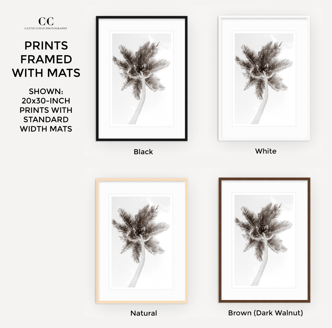 Palm Tree – Framed black and white fine art prints by Cattie Coyle Photography