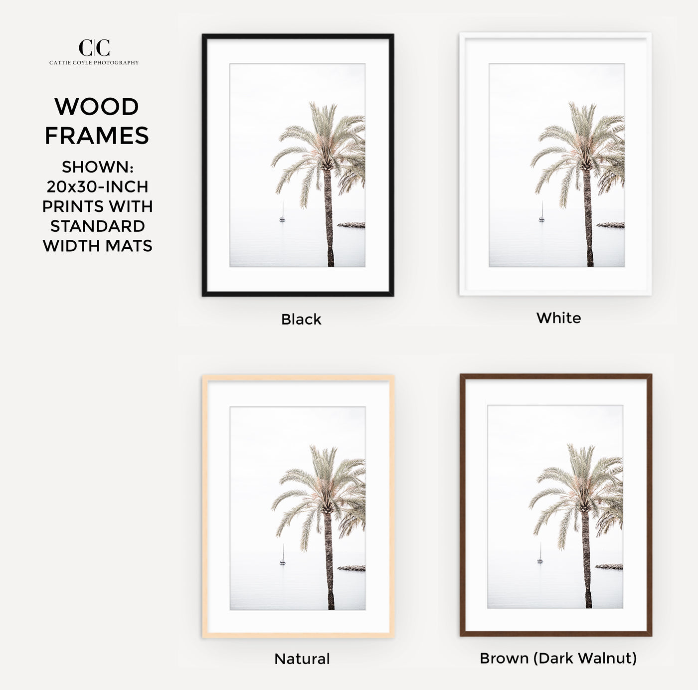 Palm Tree – Framed fine art prints by Cattie Coyle Photography