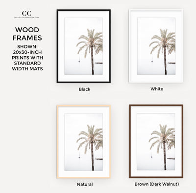 Palm Tree – Framed fine art prints by Cattie Coyle Photography