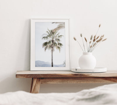 Palm Tree – Fine art print by Cattie Coyle Photography