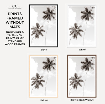 Palm Trees – Framed black and white fine art prints by Cattie Coyle Photography