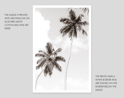 Palm Trees – Black and white fine art print by Cattie Coyle Photography