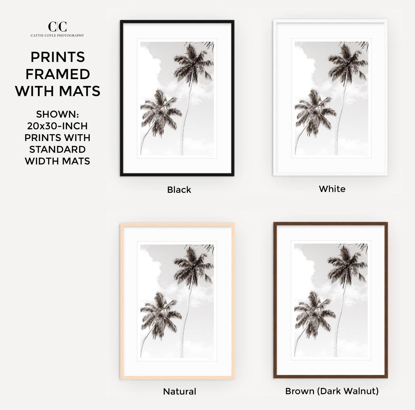 Palm Trees – Framed black and white fine art prints by Cattie Coyle Photography