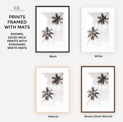 Palm Trees – Framed black and white fine art prints by Cattie Coyle Photography