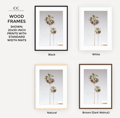Palm Trees – Framed fine art prints by Cattie Coyle Photography