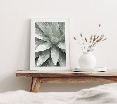 Succulent fine art print by Cattie Coyle Photography