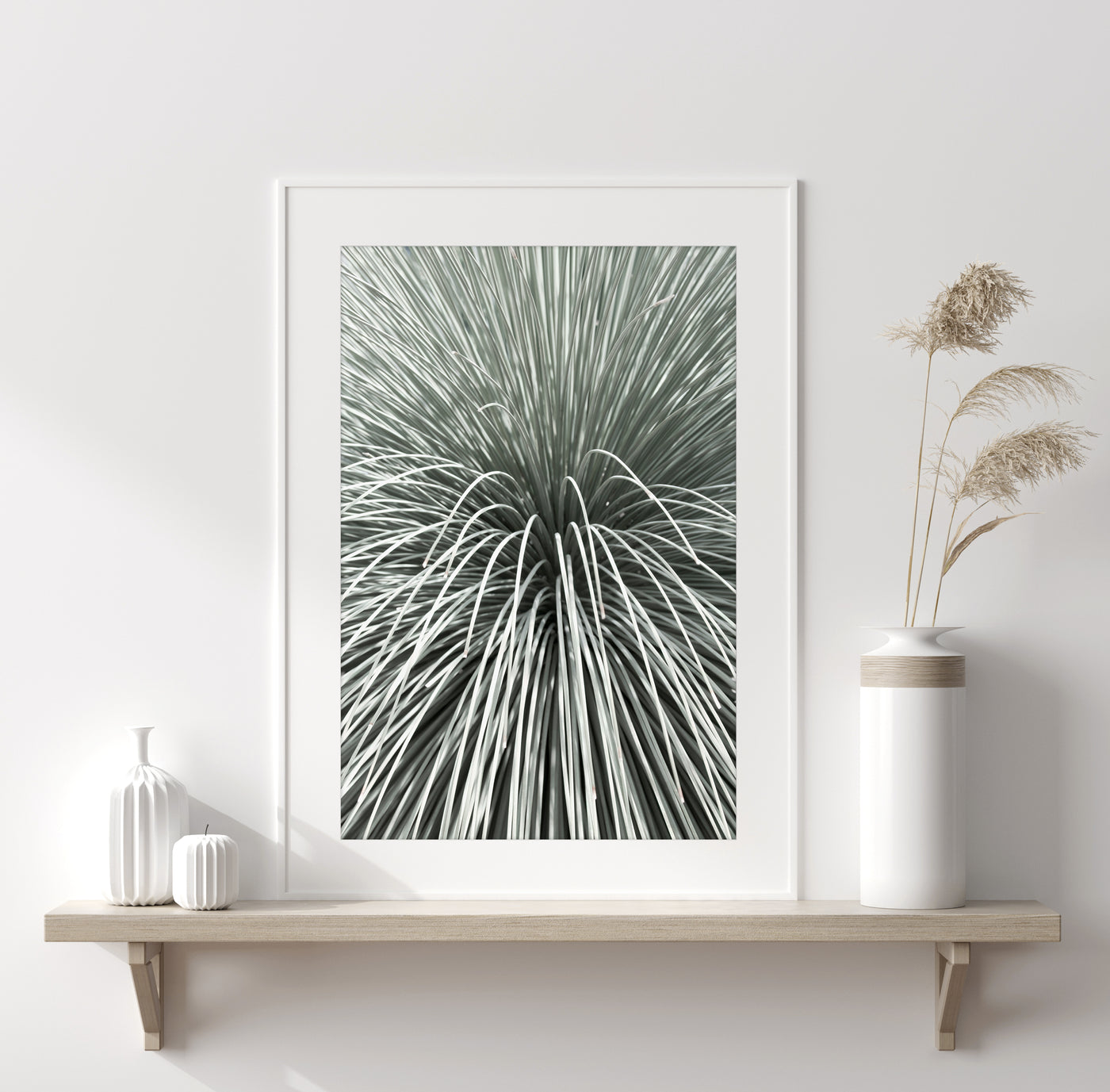 Mexican Grass Tree - Succulent art print by Cattie Coyle Photography
