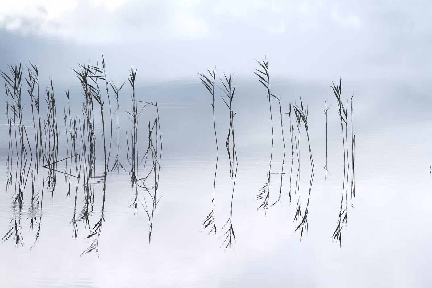 Reflections No 1 – Lake art print by Cattie Coyle Photography
