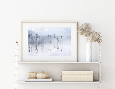 Reflections No 1 – Lake art print by Cattie Coyle Photography on shelf
