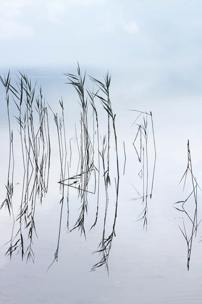 Reflections No 3 – Lake art prints by Cattie Coyle Photography