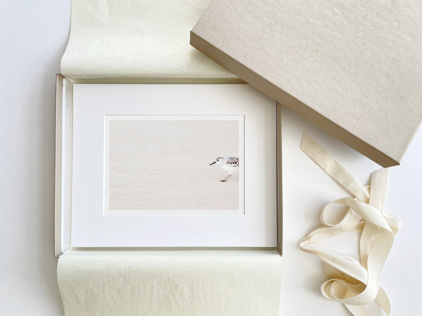 Sandpiper - Boxed gift fine art print by Cattie Coyle Photography