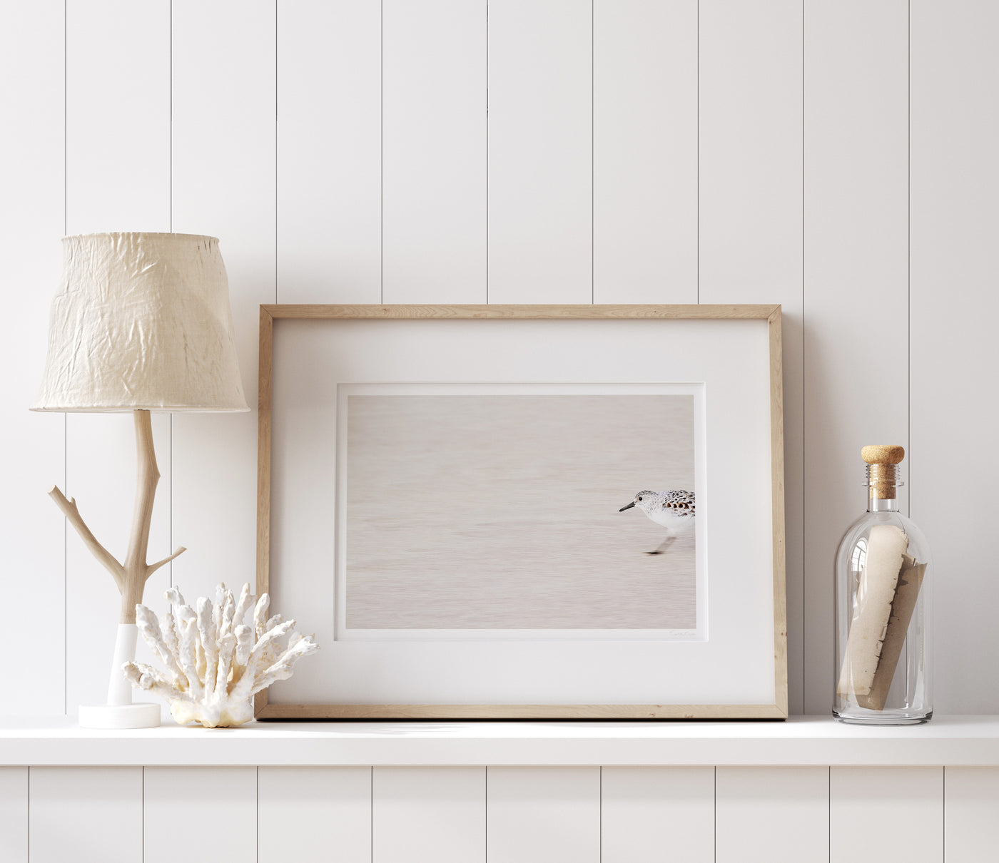 Sandpiper - Shore bird art print by Cattie Coyle Photography on shelf