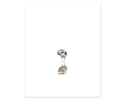 Sandpiper No 1 - Part of a fine art gallery wall print set by Cattie Coyle Photography
