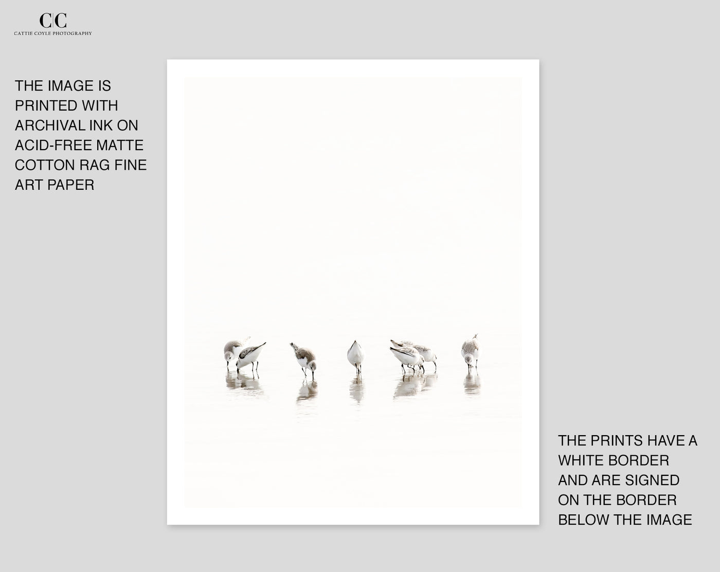 Sandpiper wall decor by Cattie Coyle Photography