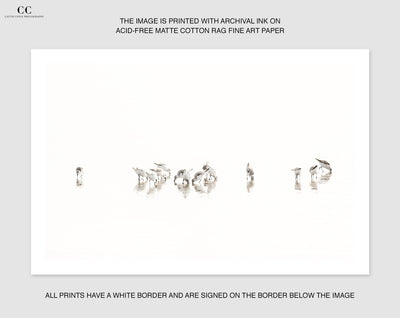 Sandpipers No 4 - Birds wall art by Cattie Coyle Photography
