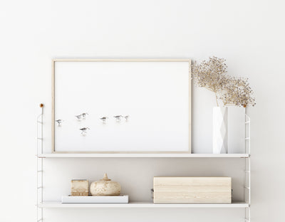 Sandpipers No 5 - Coastal bird wall art by Cattie Coyle Photography on shelf