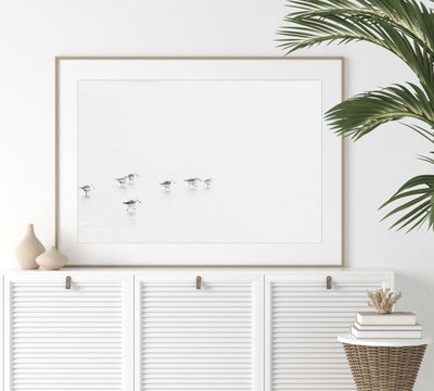 Sandpipers - Fine art print by Cattie Coyle Photography