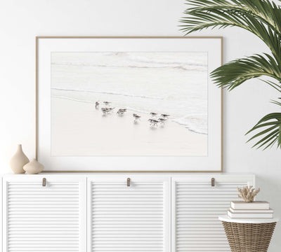 Sandpipers - Fine art print by Cattie Coyle Photography