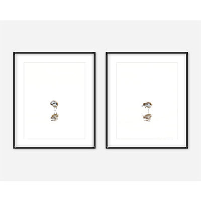 Sandpipers Set of 2 Prints by Cattie Coyle Photography