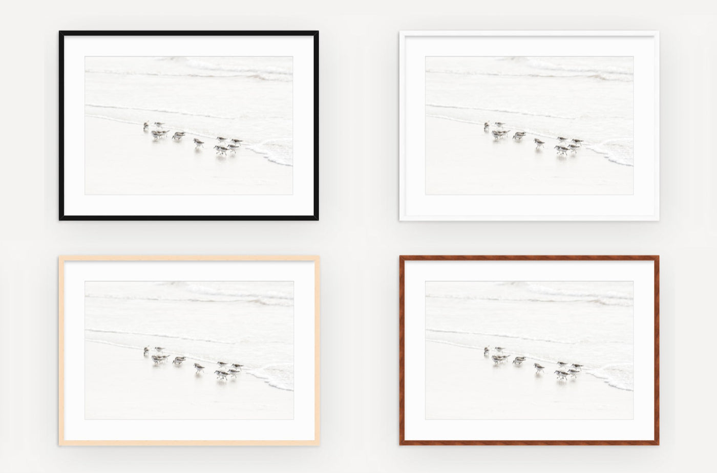 Sandpipers – Framed fine art prints by Cattie Coyle Photography