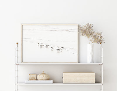 Sandpipers - Fine art print by Cattie Coyle Photography