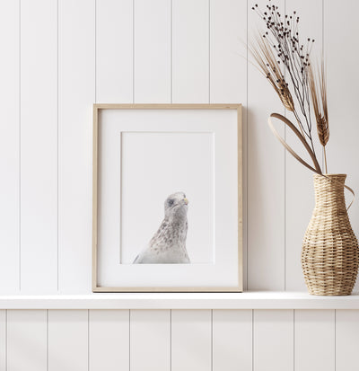 Seagull - Fine art print by Cattie Coyle Photography on shelf