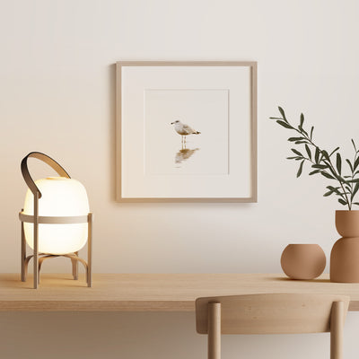 Seagull - Fine art print by Cattie Coyle Photography