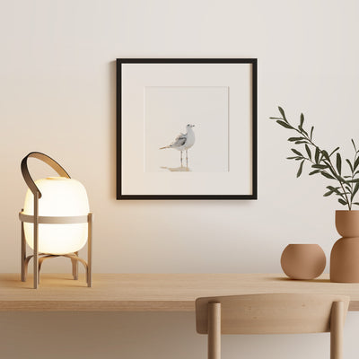 Seagull - Fine art print by Cattie Coyle Photography